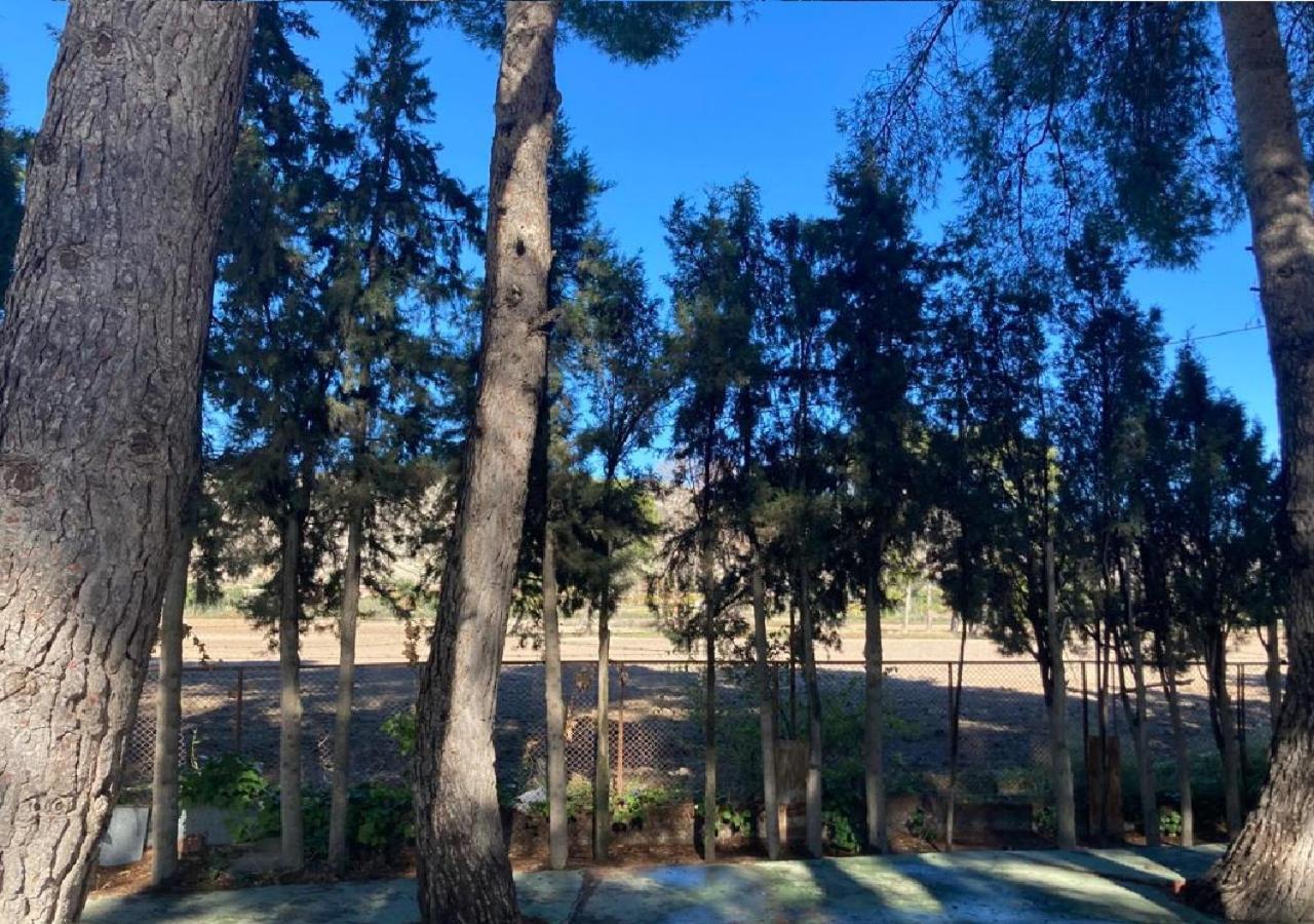 Habitacion En Casa Rural Particular El Palomar ビリェーナ エクステリア 写真